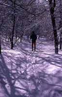 Filename=Happy_Trails.jpg
Filesize=41KiB
Dimensions=368x575
Date added=Nov 19, 2006 Happy_Trails.jpg