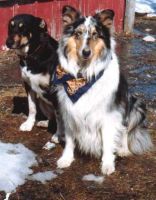 Filename=Blue_and_Clancy.jpg
Filesize=22KiB
Dimensions=328x420
Date added=Nov 19, 2006 Blue_and_Clancy.jpg