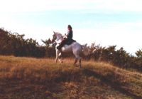 Filename=Jean_riding_Nicha.jpg
Filesize=94KiB
Dimensions=634x442
Date added=Nov 19, 2006 Jean_riding_Nicha.jpg