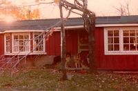 Filename=My_home_by_stable.jpg
Filesize=62KiB
Dimensions=481x319
Date added=Nov 19, 2006 My_home_by_stable.jpg