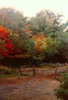 Filename=fence_by_barn.jpg
Filesize=84KiB
Dimensions=433x639
Date added=Nov 19, 2006 fence_by_barn.jpg