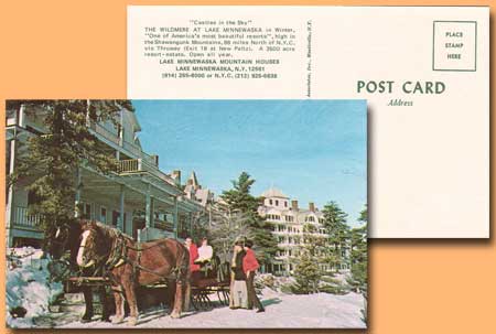 Postcard Horse Drawn Sleigh