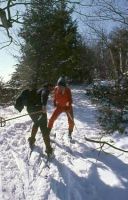 Filename=Laural_and_Hardy_or_Steve_and_Carlos_X_Country.jpg
Filesize=44KiB
Dimensions=368x575
Date added=Nov 19, 2006 Laural_and_Hardy_or_Steve_and_Carlos_X_Country.jpg
