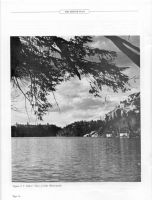 Filename=Page13_opt.jpg
Filesize=62KiB
Dimensions=605x792
Date added=Nov 19, 2006 Page13_opt.jpg