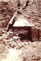 Filename=New_snowfall.jpg
Filesize=34KiB
Dimensions=280x420
Date added=Nov 19, 2006 New_snowfall.jpg