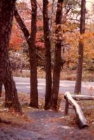 Filename=Path_to_Cliff_House_001.jpg
Filesize=31KiB
Dimensions=283x420
Date added=Nov 19, 2006 Path_to_Cliff_House_001.jpg