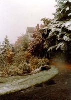 Filename=early_winter_day.jpg
Filesize=73KiB
Dimensions=367x515
Date added=Nov 19, 2006 early_winter_day.jpg