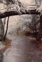 Filename=road_to_barn.jpg
Filesize=31KiB
Dimensions=288x420
Date added=Nov 19, 2006 road_to_barn.jpg