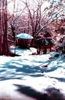 Filename=summerhouse_in_winter.jpg
Filesize=32KiB
Dimensions=277x420
Date added=Nov 19, 2006 summerhouse_in_winter.jpg