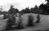 Filename=wildfound.jpg
Filesize=18KiB
Dimensions=565x355
Date added=Nov 19, 2006 wildfound.jpg