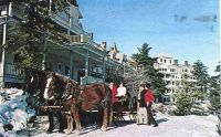 Filename=winter_horses.jpg
Filesize=43KiB
Dimensions=824x513
Date added=Nov 19, 2006 winter_horses.jpg