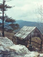 Filename=shcoveredbridge.jpg
Filesize=51KiB
Dimensions=526x692
Date added=Nov 19, 2006 shcoveredbridge.jpg