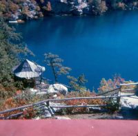 Filename=shredroof.jpg
Filesize=46KiB
Dimensions=576x573
Date added=Nov 19, 2006 shredroof.jpg