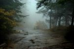 Filename=Darkness_falls_across_the_land.jpg
Filesize=84KiB
Dimensions=856x575
Date added=Oct 21, 2007 Darkness_falls_across_the_land.jpg