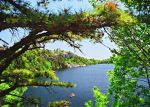 Filename=High_Noon_Lake_Minnewaska.JPG
Filesize=203KiB
Dimensions=1019x727
Date added=Jun 27, 2007 High_Noon_Lake_Minnewaska.JPG