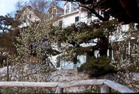 Filename=cliff_house_closeup_1.jpg
Filesize=49KiB
Dimensions=597x405
Date added=Nov 19, 2006 cliff_house_closeup_1.jpg