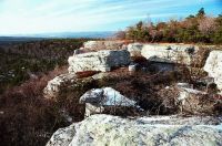 Filename=023_castle_point.jpg
Filesize=197KiB
Dimensions=1000x663
Date added=Nov 19, 2006 023_castle_point.jpg