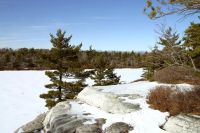 Filename=043_LAKE_AWOSTING_Winter_2005_2.jpg
Filesize=144KiB
Dimensions=1100x733
Date added=Nov 19, 2006 043_LAKE_AWOSTING_Winter_2005_2.jpg