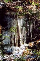 Filename=080_Icicles_Along_The_Cliffs_on_GREN_TRAIL_Winter_2005.jpg
Filesize=133KiB
Dimensions=500x761
Date added=Nov 19, 2006 080_Icicles_Along_The_Cliffs_on_GREN_TRAIL_Winter_2005.jpg