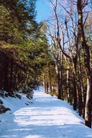 Filename=084_GREEN_TRAIL_Winter_2005_B.jpg
Filesize=104KiB
Dimensions=500x747
Date added=Nov 19, 2006 084_GREEN_TRAIL_Winter_2005_B.jpg