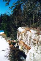 Filename=086_LAKE_MINNEWASKA_Winter_2005_b.jpg
Filesize=191KiB
Dimensions=500x726
Date added=Nov 19, 2006 086_LAKE_MINNEWASKA_Winter_2005_b.jpg
