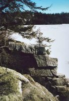 Filename=087_LAKE_MINNEWASKA_Winter_2005_a.jpg
Filesize=119KiB
Dimensions=500x726
Date added=Nov 19, 2006 087_LAKE_MINNEWASKA_Winter_2005_a.jpg