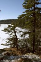 Filename=097_LAKE_MINNEWASKA_Winter_2005.jpg
Filesize=100KiB
Dimensions=500x750
Date added=Nov 19, 2006 097_LAKE_MINNEWASKA_Winter_2005.jpg