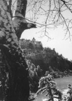 Filename=cliffhouse.jpg
Filesize=40KiB
Dimensions=452x631
Date added=Nov 19, 2006 cliffhouse.jpg