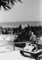 Filename=cushman.jpg
Filesize=42KiB
Dimensions=431x618
Date added=Nov 19, 2006 cushman.jpg