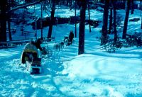 Filename=dogsleds_1.jpg
Filesize=80KiB
Dimensions=689x474
Date added=Nov 19, 2006 dogsleds_1.jpg