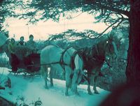 Filename=sleigh_4.jpg
Filesize=50KiB
Dimensions=592x504
Date added=Nov 19, 2006 sleigh_4.jpg