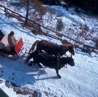 Filename=sleigh_5.jpg
Filesize=66KiB
Dimensions=616x612
Date added=Nov 19, 2006 sleigh_5.jpg