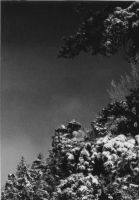 Filename=summersnow.jpg
Filesize=29KiB
Dimensions=454x650
Date added=Nov 19, 2006 summersnow.jpg