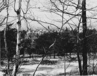 Filename=wildthrutrees.jpg
Filesize=64KiB
Dimensions=687x539
Date added=Nov 19, 2006 wildthrutrees.jpg